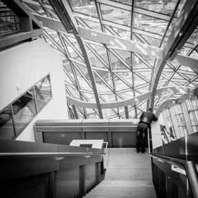 Musée des Confluences, Lyon