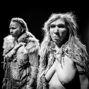 Musée des Confluences, Lyon