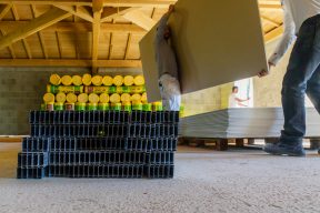 Construction du Caveau du Chateau, Ampuis