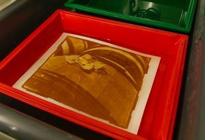 Photographies argentiques développées au vin et tirées selon le procédé Van Dyke