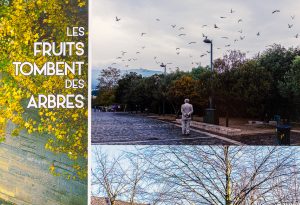 Florent Oiseau - Les fruits tombent des arbres 3